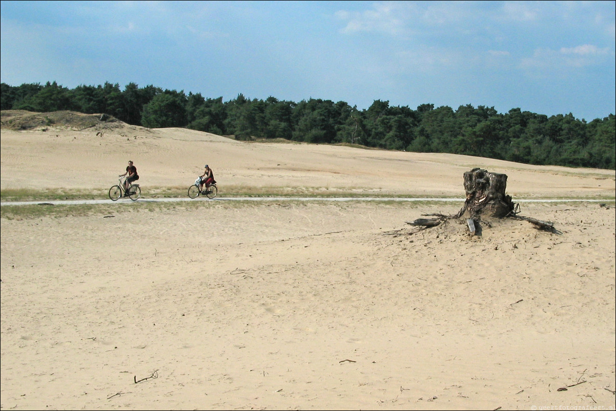 hoge veluwe